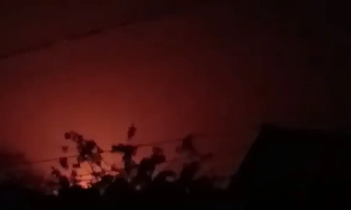 Бавовна