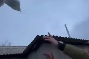 smakolyky