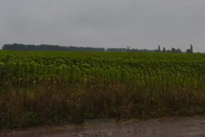 zemlya