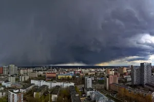 perm