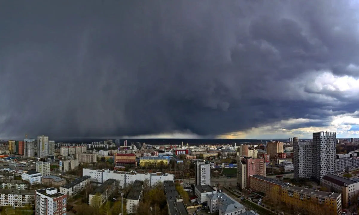 perm