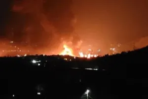 Бавовна в РФ