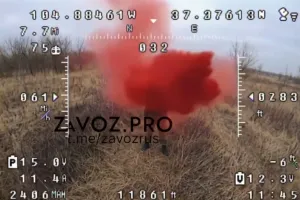 оккупант