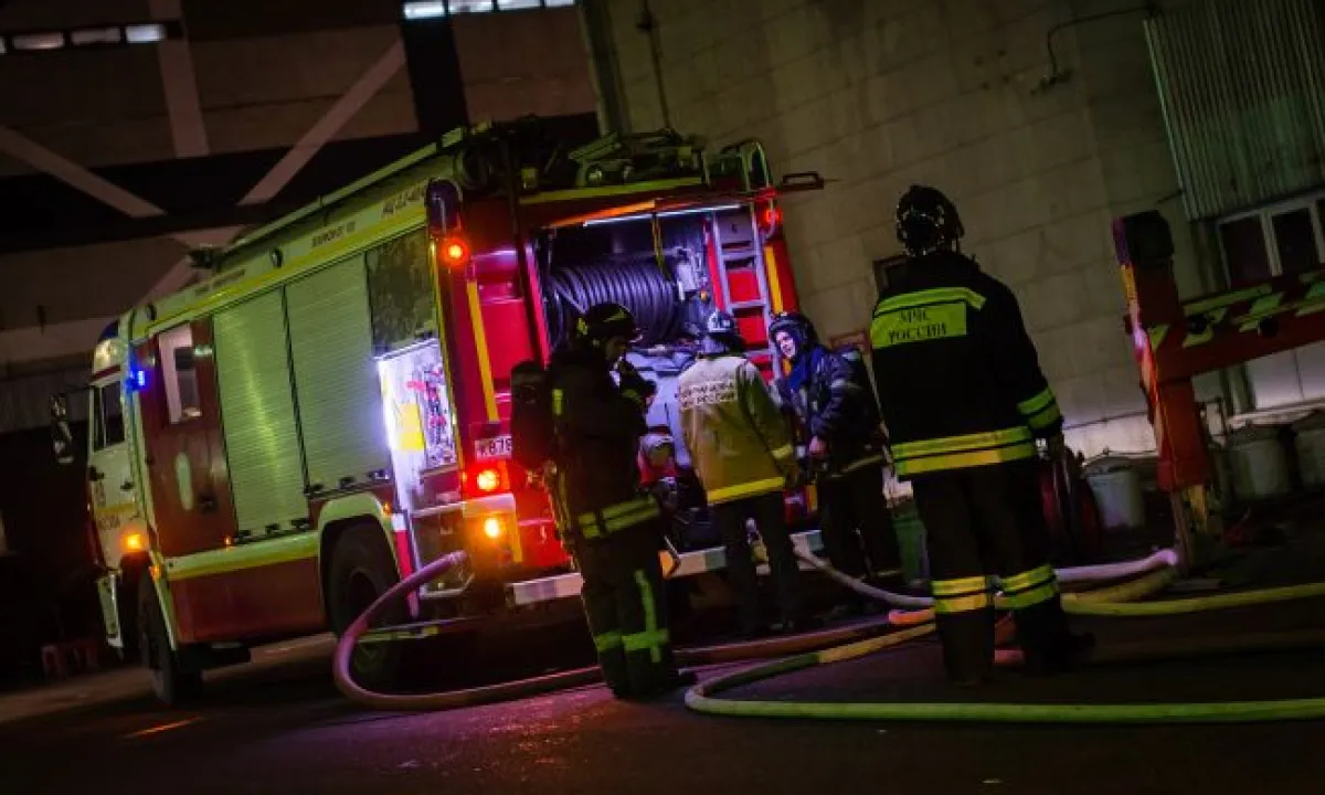 Бавовна в РФ