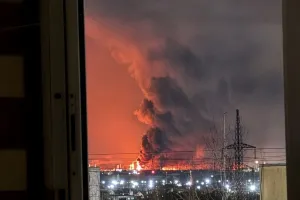 Бавовна в РФ