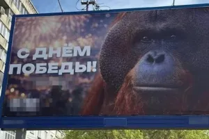 Новосибирск, скандал