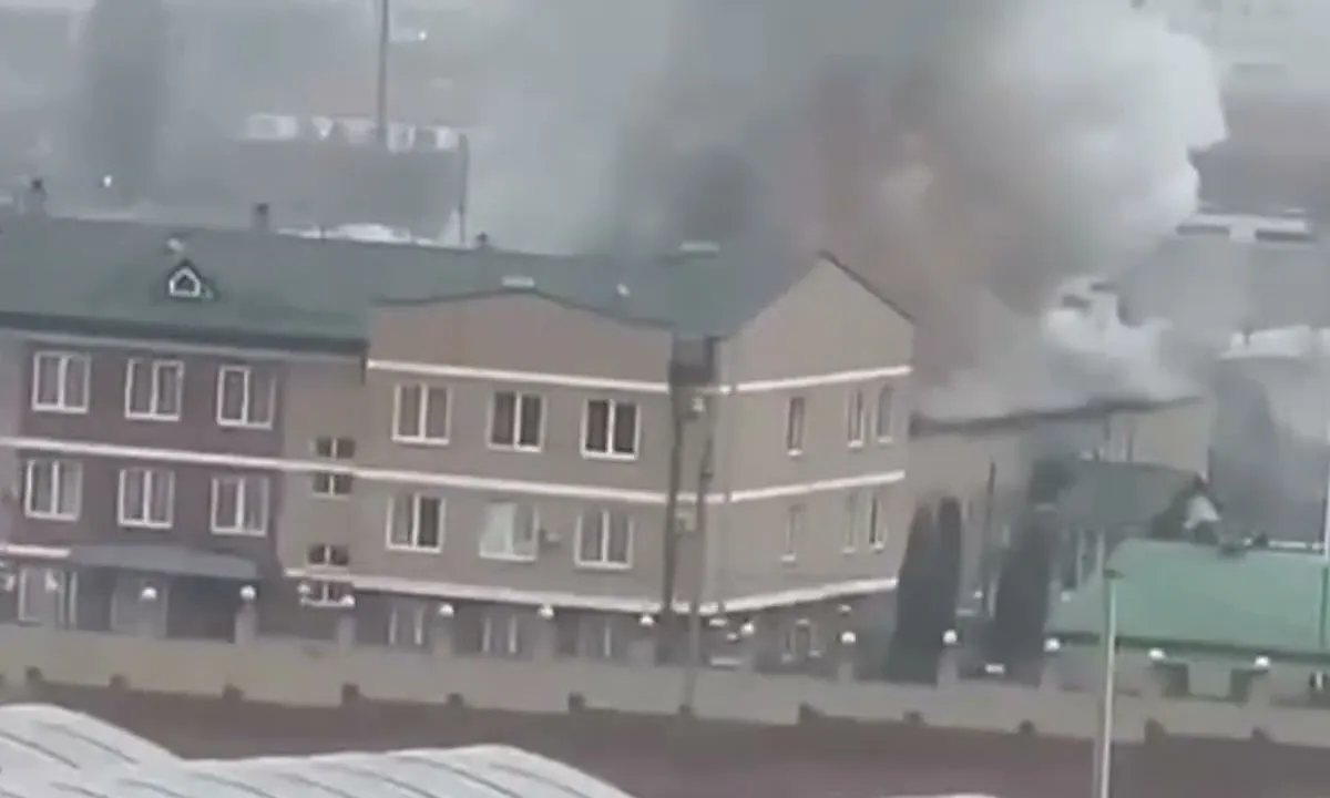 Бавовна