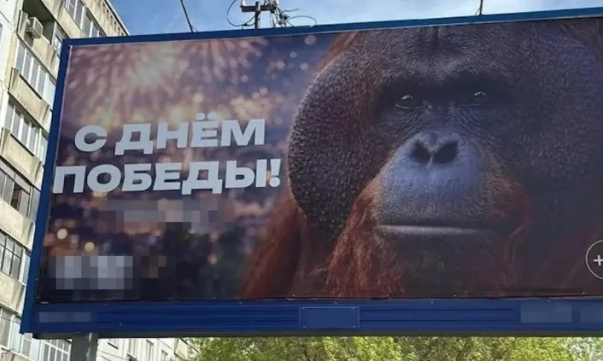 Новосибирск, скандал