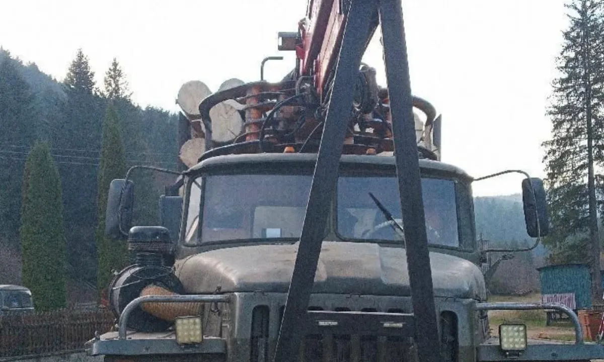 vyrubka