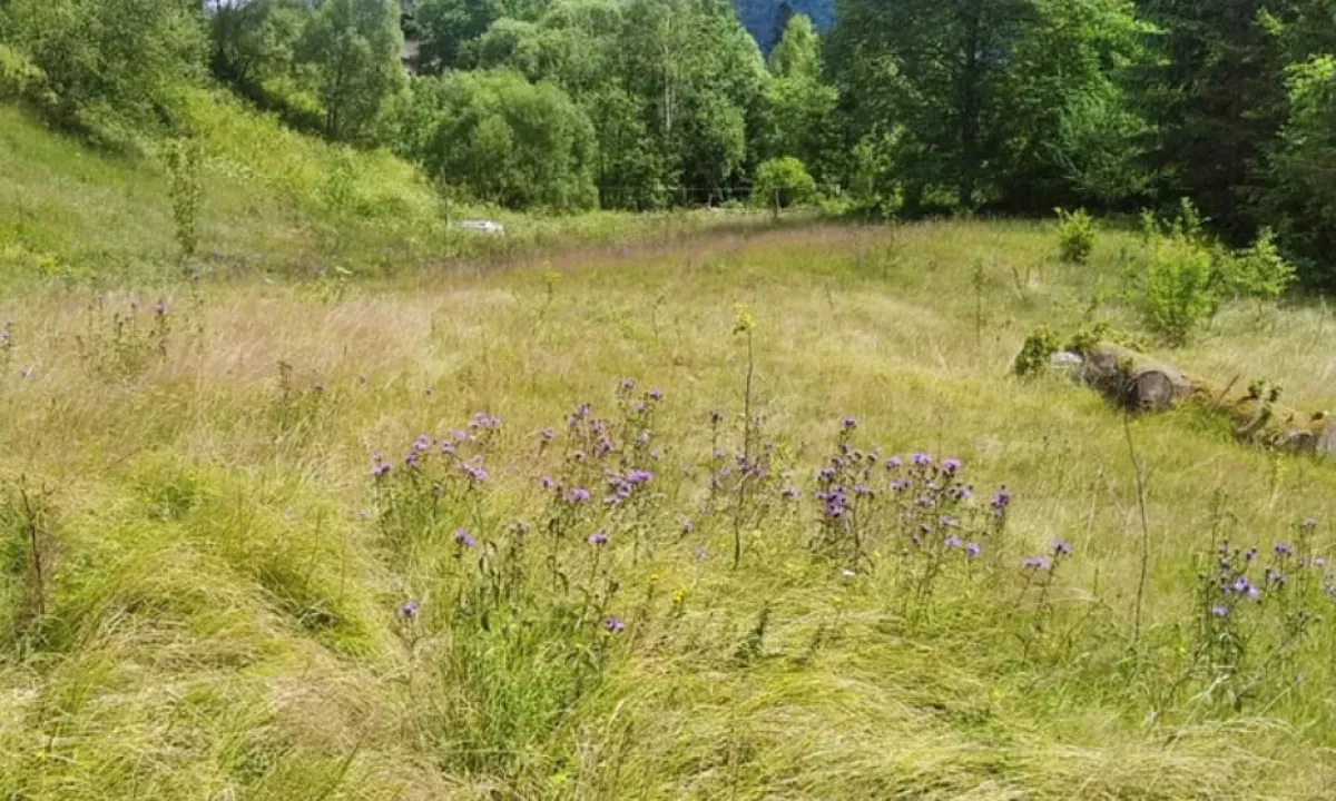 zemlya