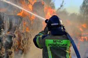 Бавовна в РФ