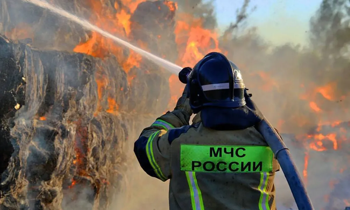 Бавовна в РФ