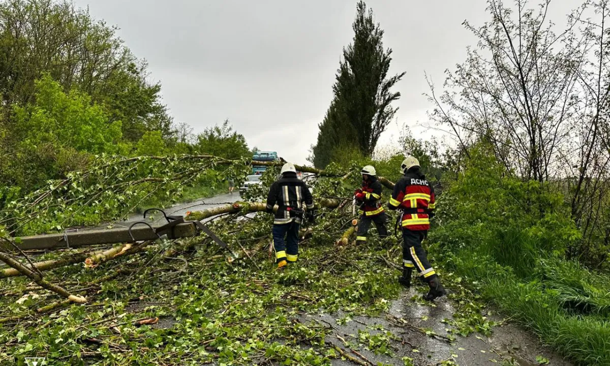 negoda