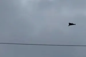 Герань-4