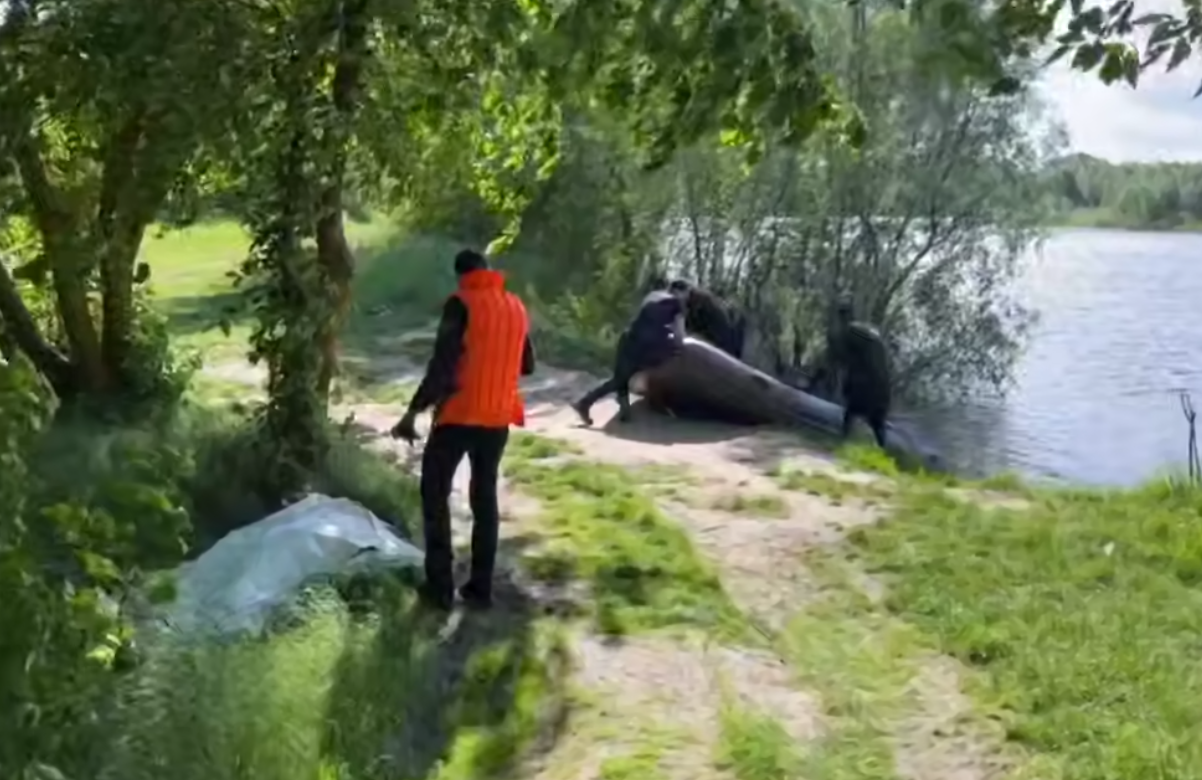 скрін