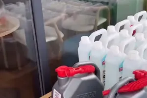 kanistry