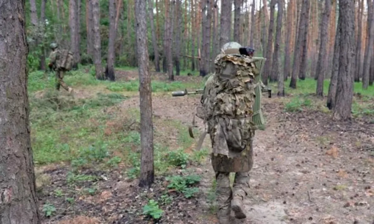 оккупант