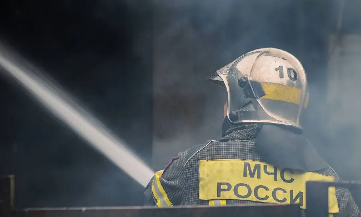 Бавовна