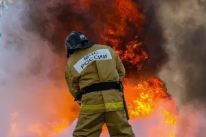пожарники