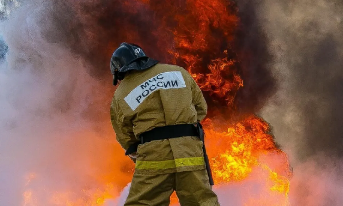 пожарники