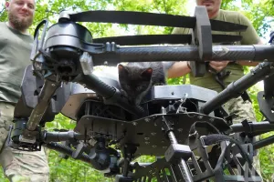 kit