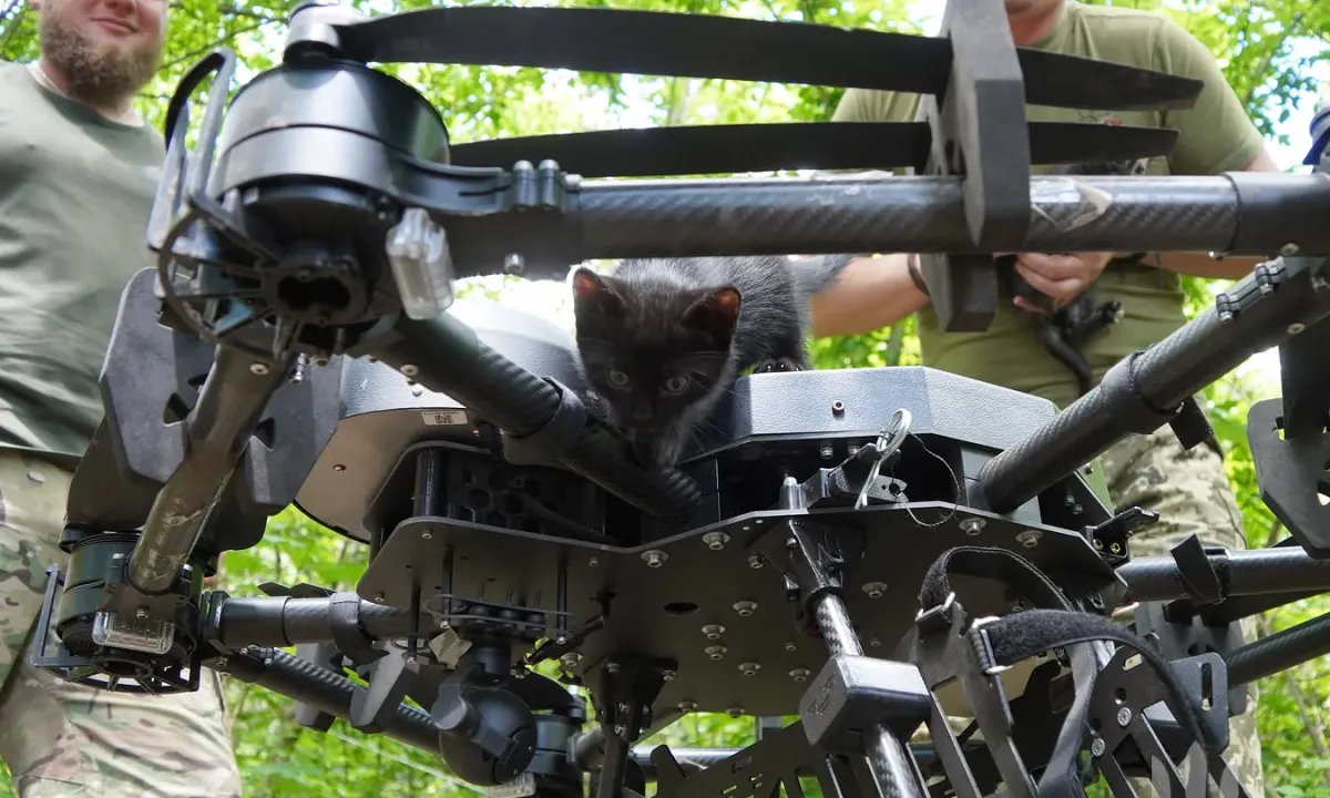 kit