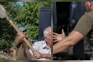 did