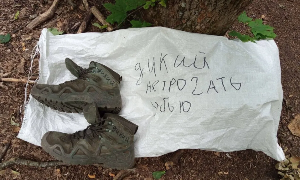 оккупант
