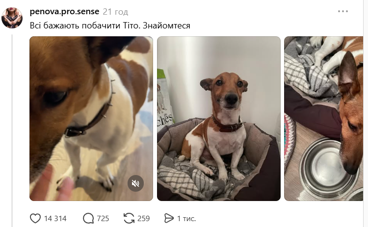 скрін