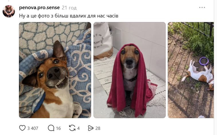 скрін