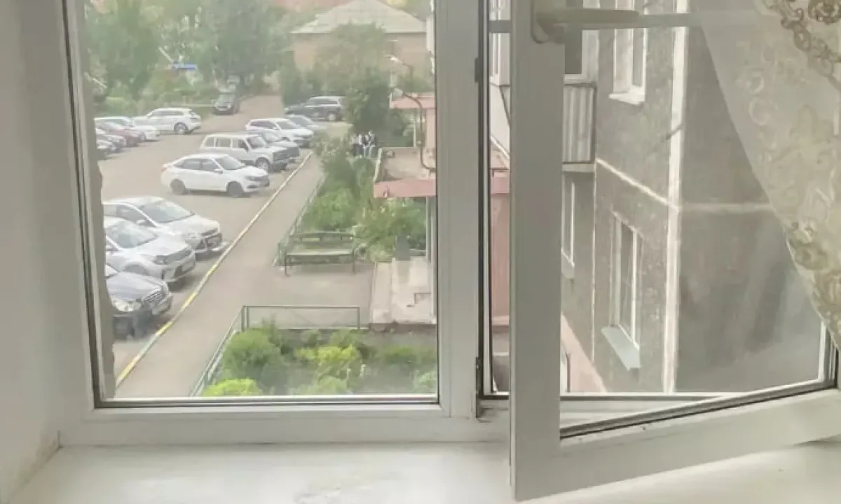 vikno
