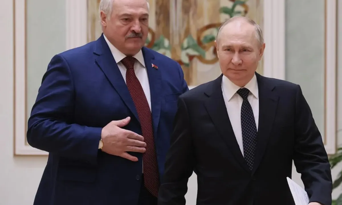 vizit