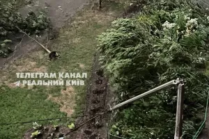 Киев
