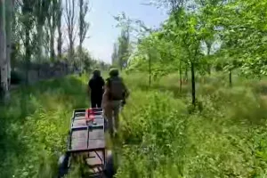 bezpeka