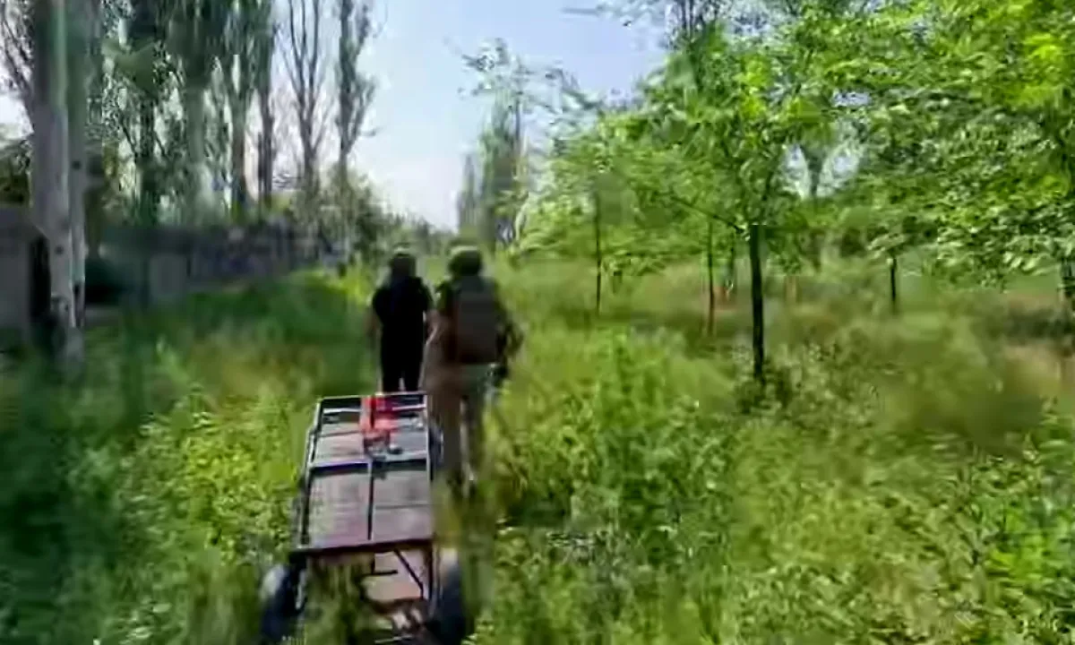 bezpeka