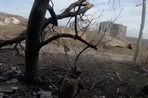 Фронт