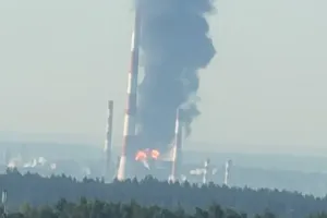 Бавовна в РФ