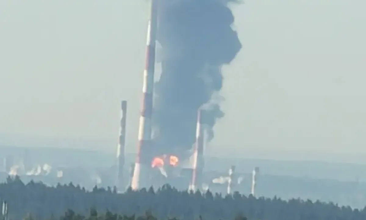 Бавовна в РФ