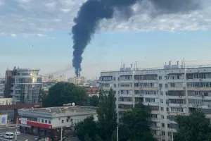 Бавовна в РФ