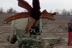 пушка РФ