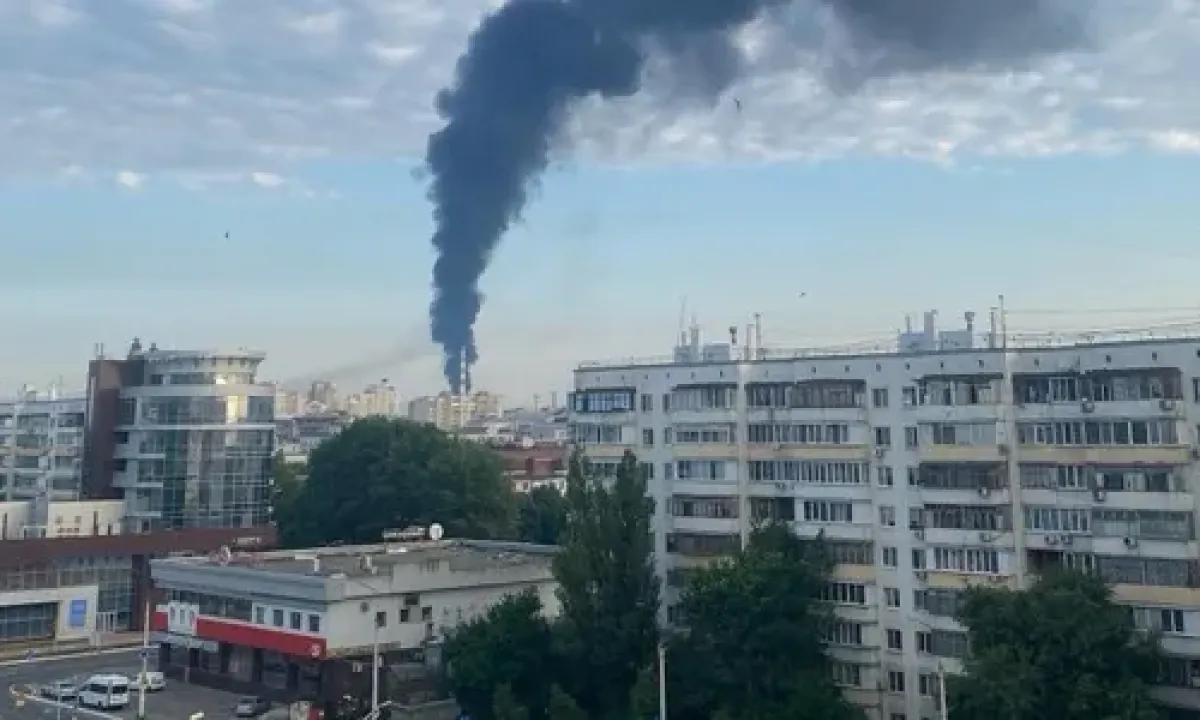 Бавовна в РФ