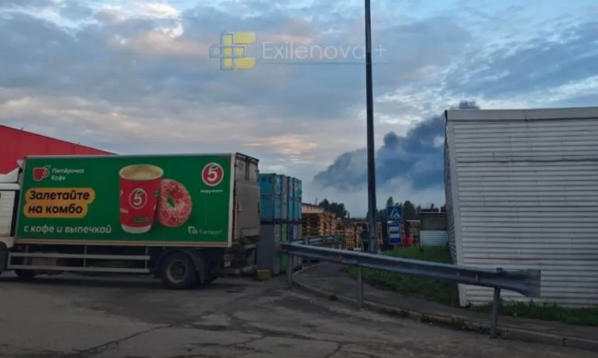 Бавовна в РФ