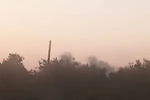 Бавовна в РФ