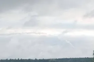Бавовна в РФ