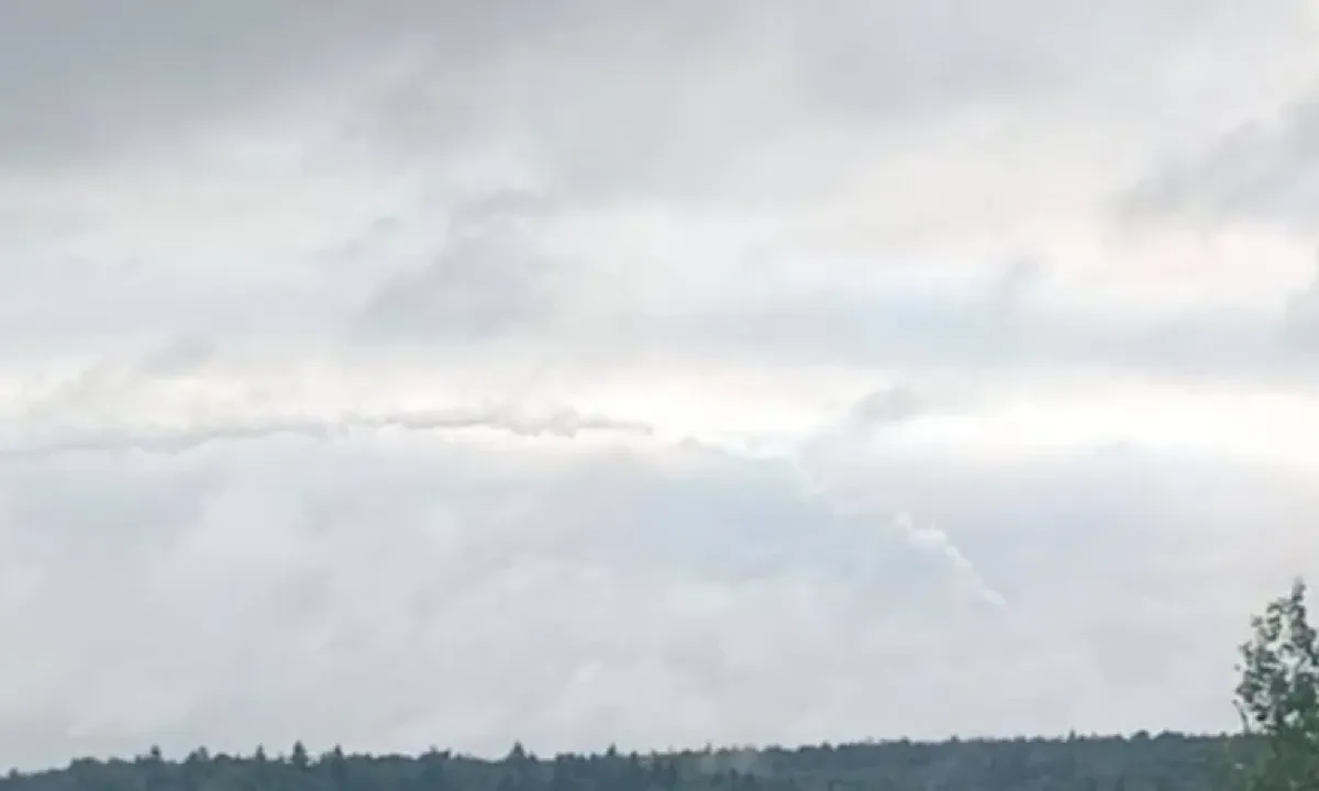 Бавовна в РФ