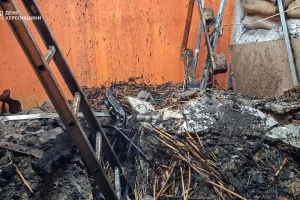 Наслідки пожежі на Херсонщині
