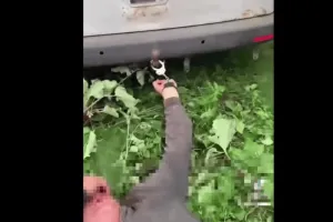 беспредел ТЦК