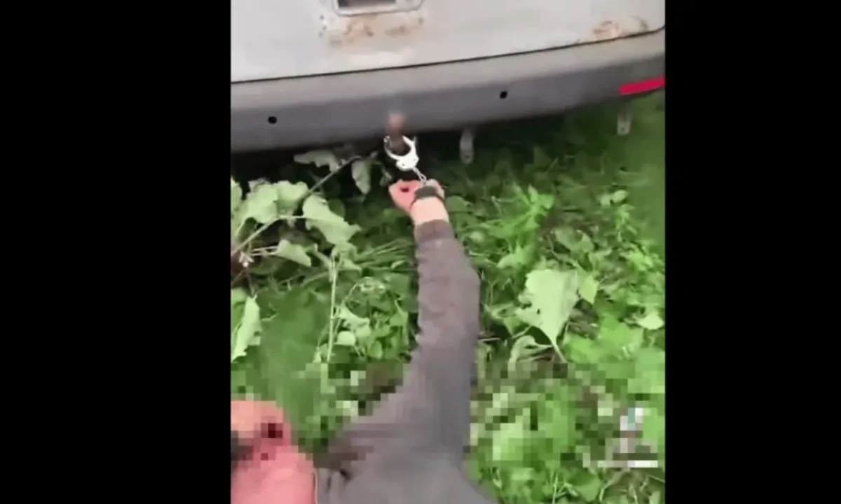 беспредел ТЦК