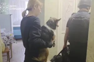 Евакуація жінки з тваринами