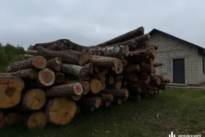 Сокиричівське лісництво